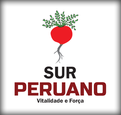sur_peruano_logotipo
